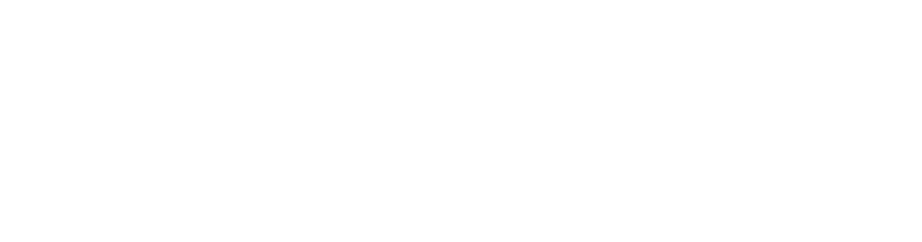 AuralFlow Logo